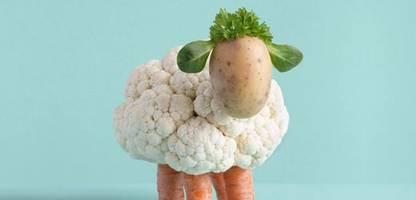 Wie gesunde Ernährung und guter Schlaf einander bedingen – Podcast mit Ingo Fietze