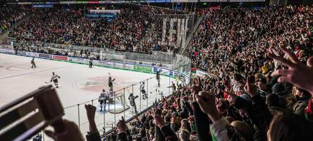 Panther-Heimspiele nahezu ausverkauft: So kommen Fans jetzt noch an Tickets