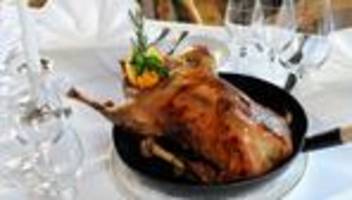 Festtagsessen: Martinsgans trotz Vogelgrippe gesichert