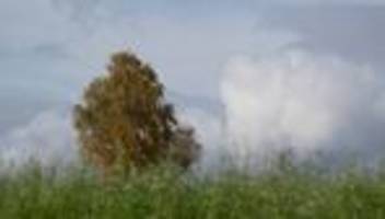 Mittwoch sonnig: Nebliger Wochenstart in Rheinland-Pfalz und Saarland