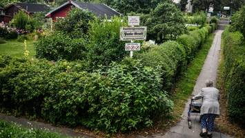 Nach Kleingarten-Affäre: Pankower Verband wählt neuen Vorstand