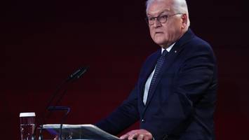 Steinmeiers Ruck-Rede: Verteidigt die Demokratie!