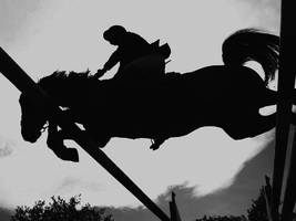 Regeländerung im Reitsport: „Blut hat im Pferdesport nichts zu suchen“