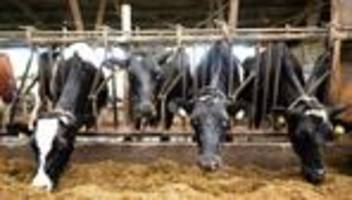 EU-Agrarförderung: EU-Einigung: Weniger Bürokratie und Kontrollen für Landwirte