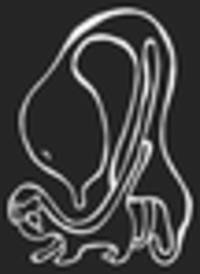 Harald Martenstein: Über die Wechselwirkung  zwischen Touristen und Tieren