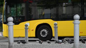 Standfuß fliegt an Halloween auf Bus: Polizei sucht Zeugen
