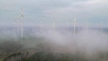 Grau und neblig: Wetterprognose für Berlin und Brandenburg zum Wochenstart