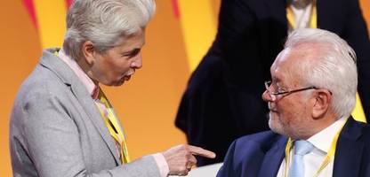 fdp: deutschland braucht nicht eine liberale partei, sondern zwei