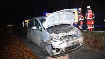 Unfall mit Wildschwein auf B404: Fahrer muss ins Krankenhaus