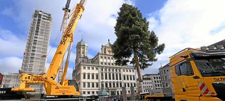 Seit Montag steht der „Christbaum für alle“ auf dem Augsburger Rathausplatz