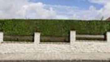 aufwachsen in der stadt: da ist doch einfach nichts los