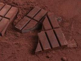 Millionen für Food-Startups: Wird Kakao bald aus einer deutschen Ackerbohne gewonnen?