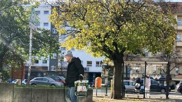 eine milliarde für bäume: so verteilt die koalition das sondervermögen