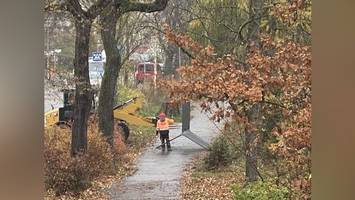 kreuzberger posse: gestohlenes zaun-tor vom görlitzer park ist wieder da