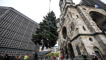 Weihnachtsbaum am Breitscheidplatz steht: Routine und Herzklopfen