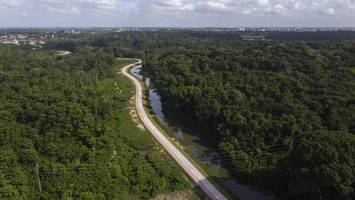 Amazonas-Regenwald für UN-Klimagipfel gerodet – Trump schimpft