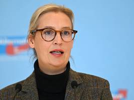 AfD und Russland: „Herr Rothfuß wird hier bleiben“