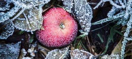 bevor es warm wird: behörde warnt am morgen vor wetterbedingungen in bayern
