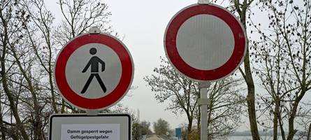 Vogelgrippe in Bayern – wo es Fälle gibt und welche Regeln gelten