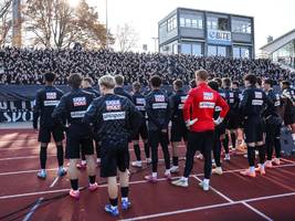 Wirbel beim SSV Ulm: Die Spieler flehen, der Aufsichtsrat gehorcht