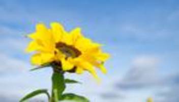 DWD-Prognose: Sonne satt im Südwesten – der Herbst zeigt seine milde Seite