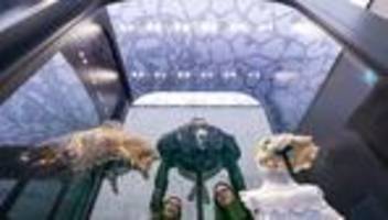 Handwerk: Hersteller von Plauener Spitze sehen stabiles Geschäft