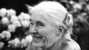 Literatur: Unbekannte Liebesbriefe von Anna Seghers veröffentlicht