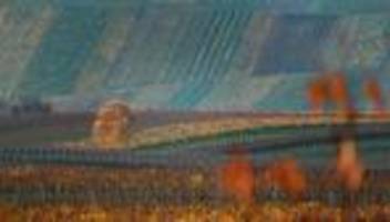 wettervorhersage: sonne und bis zu 20 grad - mit der neuen woche kühler