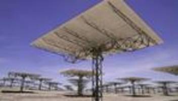 Internationale Energieagentur : Ausbau der erneuerbareren Energien legt weltweit deutlich zu