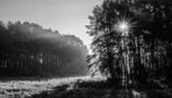 Geschichte der Photovoltaik: Energiewende-Optimismus: Ich habe unglaublich gute Laune