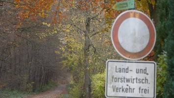 An der Grenze zu NRW – Jäger sichtet mögliche Großkatze