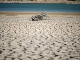 energiepolitik: „die branche rast mit vollgas auf den klimakollaps zu“