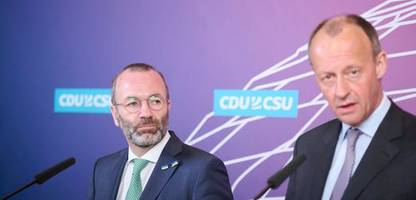 friedrich merz: eu-grünenfraktionschefin fordert eingreifen im lieferkettenstreit