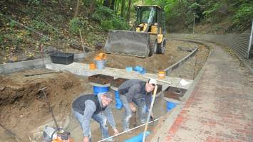 Wegen Baumfällung: Beliebte Abkürzung in die Altstadt wird gesperrt