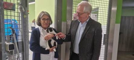 Für jeden Hund ein eigenes Zimmer: Das sind die neuen Pläne des Tierheims Lech-Arche