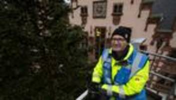 Frankfurter Weihnachtsmarkt: Der Baumkosmetiker