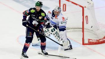 Eisbären-Stürmer Vikingstad: Wenn der Name das Vaters zum Programm wird