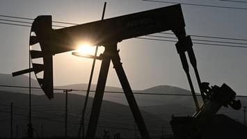 Erneuerbare auf dem Vormarsch? Bericht überrascht – trotz Trump