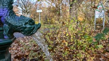 hoher wert von pfas im schlosspark gemessen – was das bedeutet