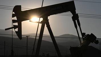 Erneuerbare auf dem Vormarsch? Bericht überrascht – trotz Trump