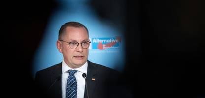 AfD-Politiker und Wladimir Putin: Ein Herz für Russland