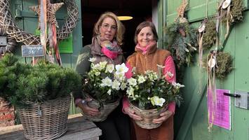 adventsausstellungen: schöne deko-ideen für die vorweihnachtszeit
