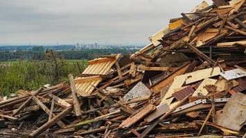Mann entdeckt wertvollen Kunstschatz auf Mülldeponie