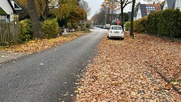 Massig Laub auf Geh- und Radwegen: Diese Regeln gelten für Anwohner