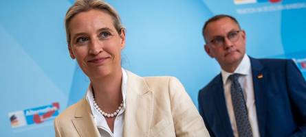 Wie das Verhältnis zu Russland einen Keil zwischen die AfD-Chefs treibt