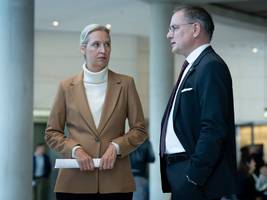 Bundestag: Die Russland-Frage spaltet die AfD