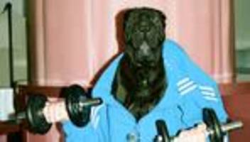 Fit bleiben im Alter: Ein Arzt prophezeite ihr ein Leben auf Krücken. Dagegen kämpfte sie an