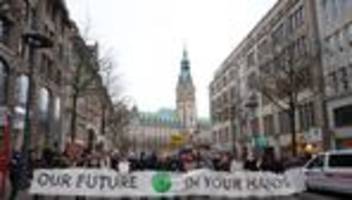 klima: fridays for future demonstriert in hamburg