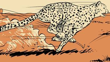 wildtiere: 784 beißt sich durch