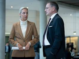 Bundestag: Die Russland-Frage spaltet die AfD